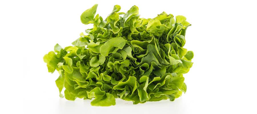 Cezar salata