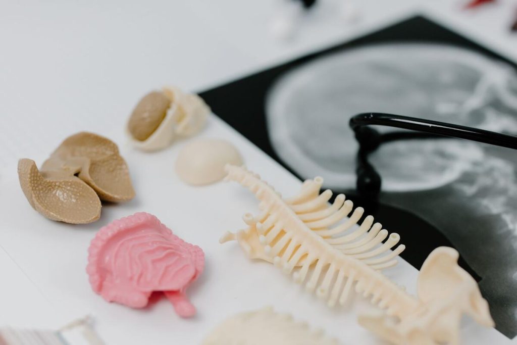 stethoscope and anatomical heart model on a wooden clinic desk, no people